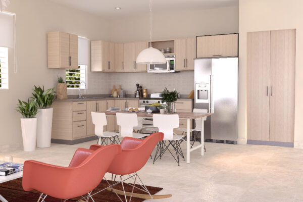 Modelo-Suiza-Cocina-comedor